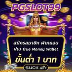 wallet pg slot 678